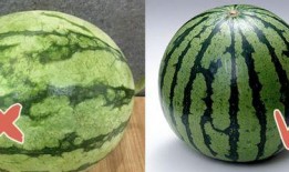 金主爆料 热点吃瓜,揭秘热点吃瓜背后的惊人真相